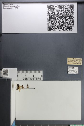 Media type: image; Entomology 528839